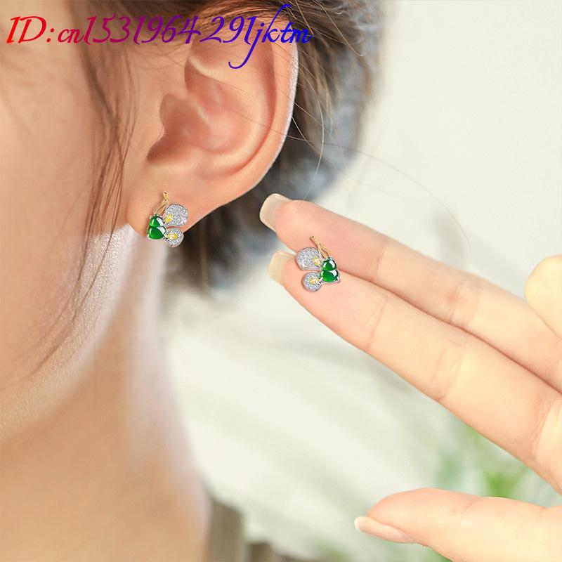 Grüne burmesische Jadeit-Schme – Earrings Bewertung und Preis
